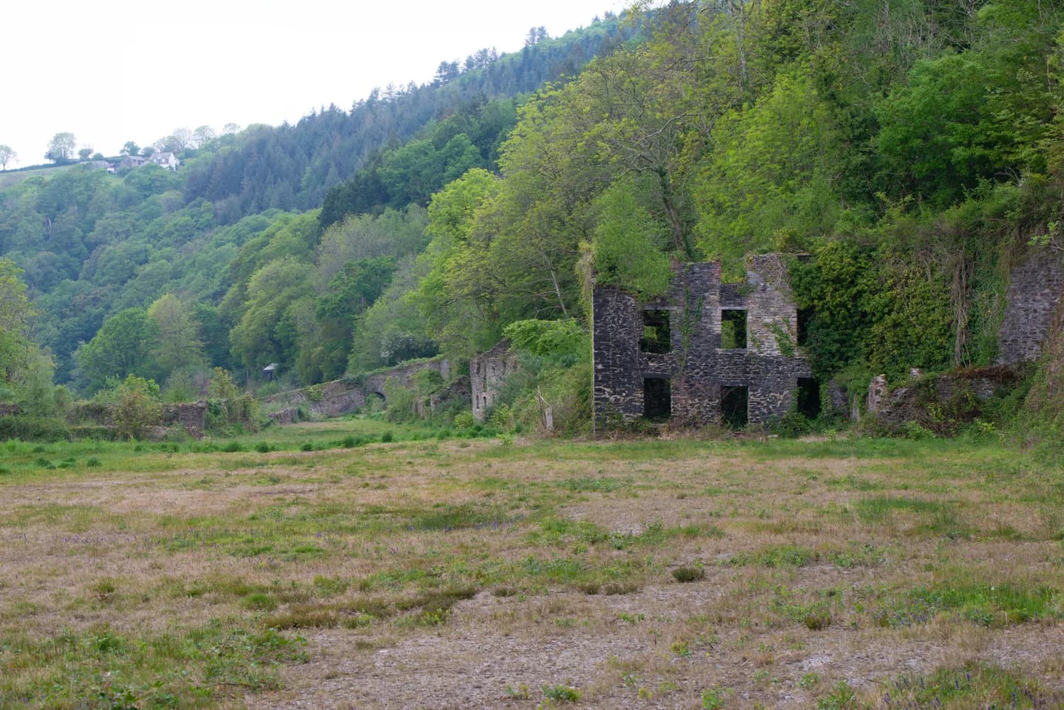 Mining remains on a wooded slope in the Tamar Valley.