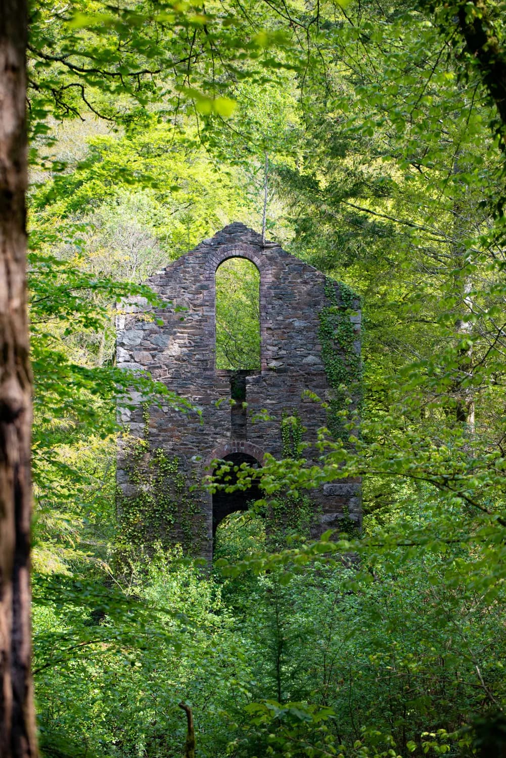 A former mine building partly screened by woodland.