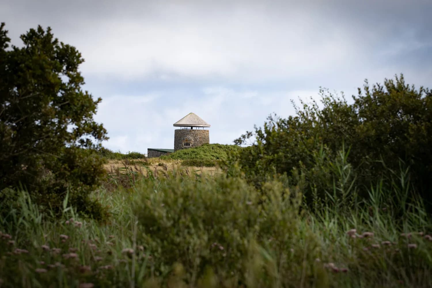 The windmill tower above heathland at Windmill Farm